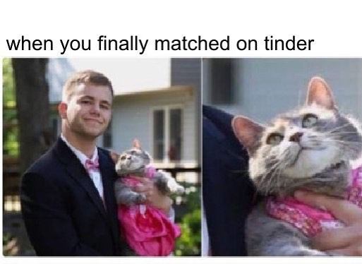 match-tinder