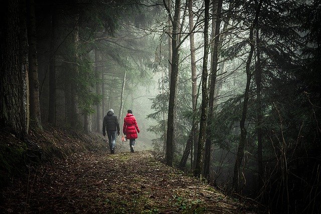 Un rendez-vous en forêtt.